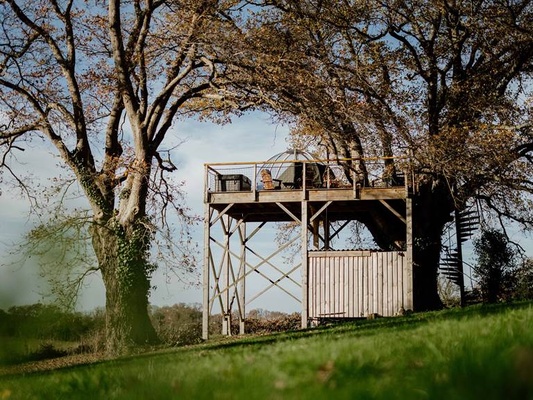 Vue sur la Bulle en haut du chêne