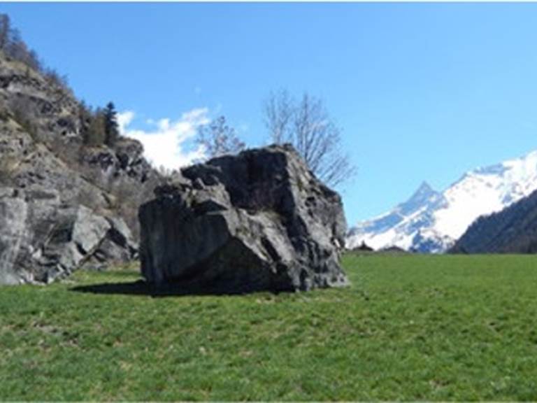 Image2