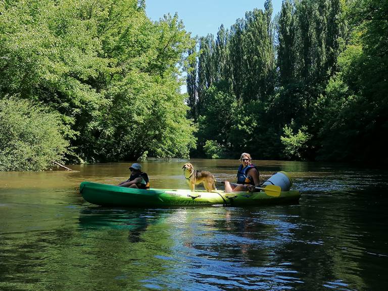 canoë avec son chien