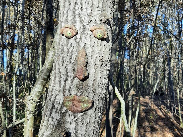Un arbre vivant