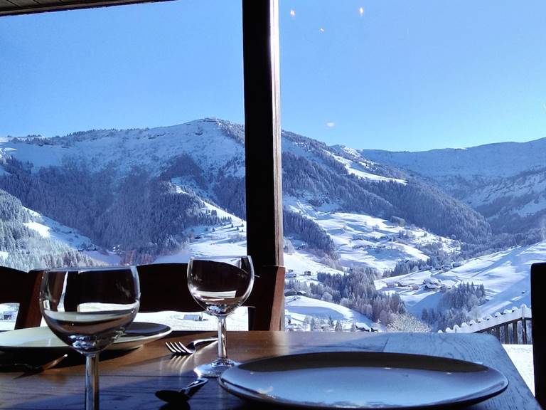 Vue sur le domaine skiable