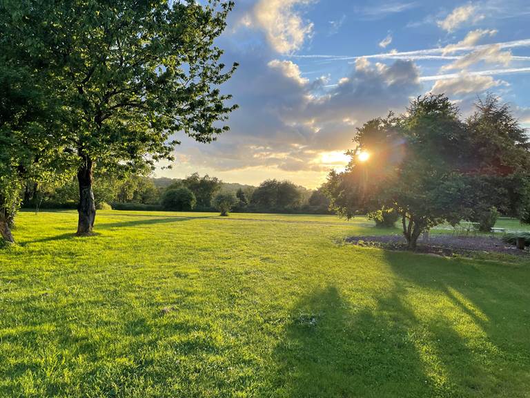 Grand parc arboré coucher de soleil