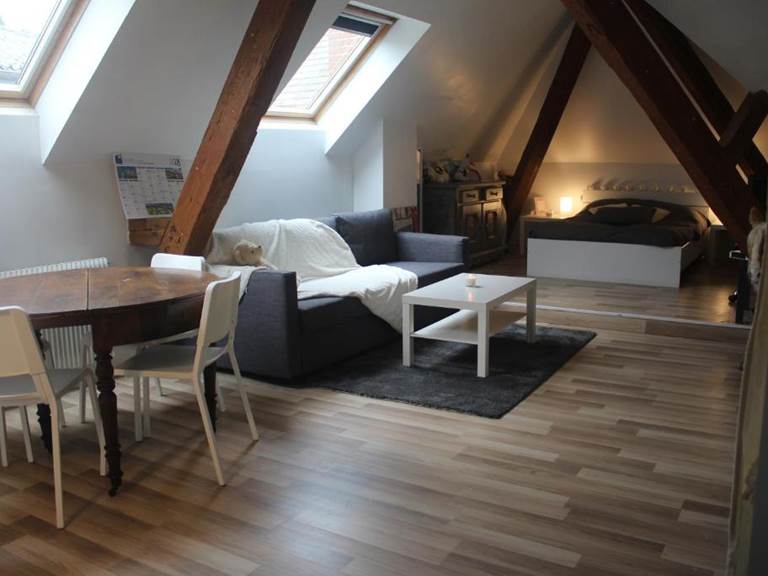 CHAMBRES-GUEBWILLER-Studio-4-Personnes-Studio