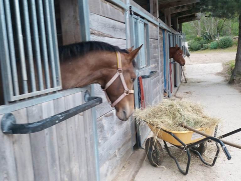 6808b6b86b08a403347698