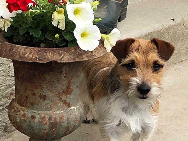 harmonie des couleurs...