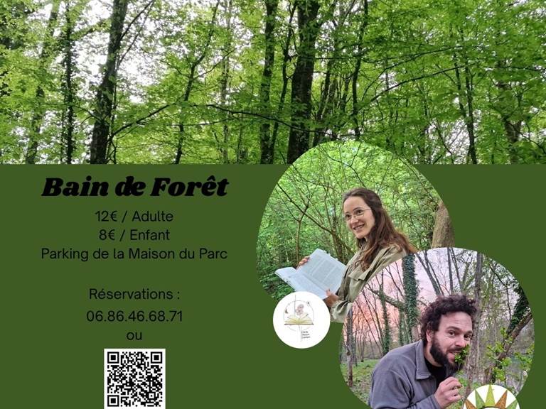 Bain de Forêt