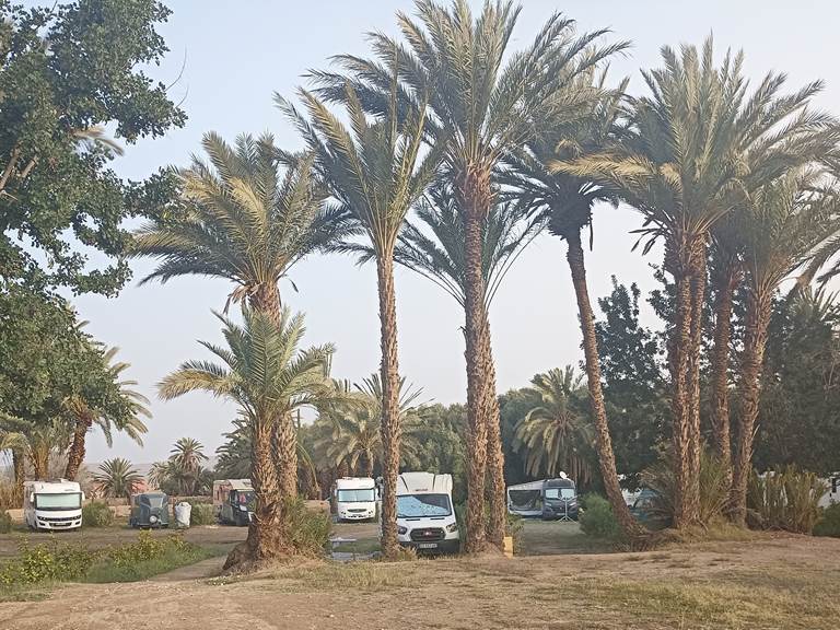 Sous les palmiers bleus - Camping avec espace electricité ou sans