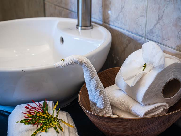 FUJIFILM X-T5_02_décembre_2025-45 50pp-gallery