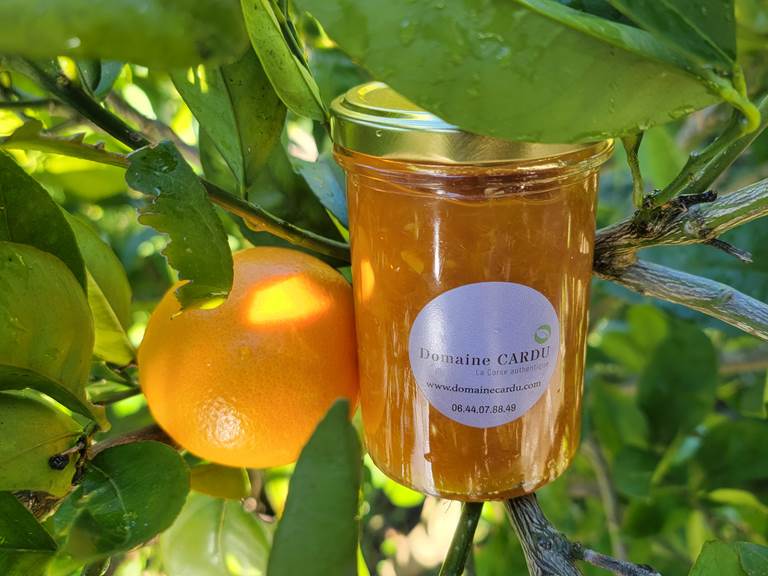 petit-dejeuner-confiture-maison-domaine-cardu-corse.jpg