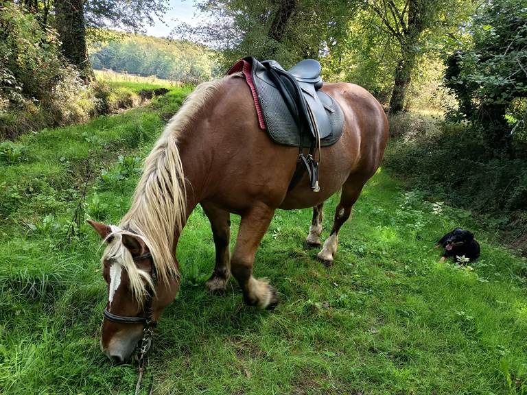 d523154f-b5ab-4674-854b-d60e2ed3642a