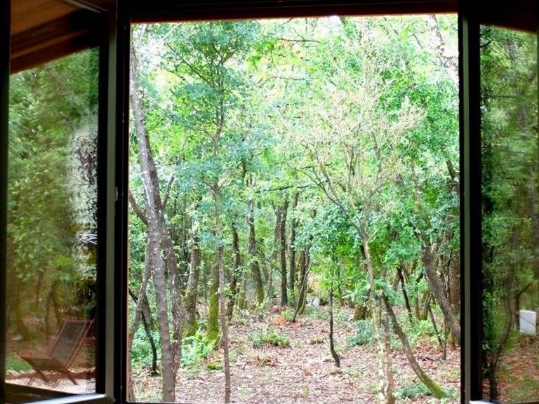 Fenêtre de la chambre sud avec vus sur la forêt