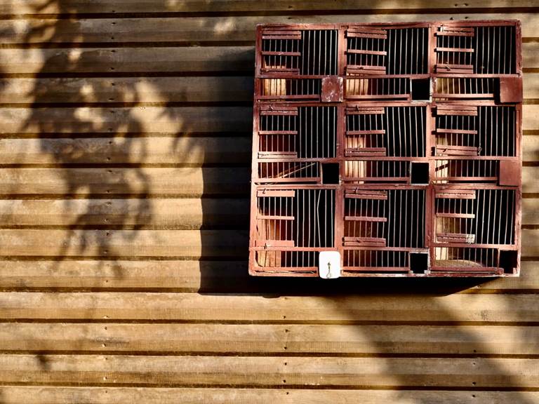 Dans la forêt, sur les façades, partout des petits détails constituent l'esprit de Baoussala