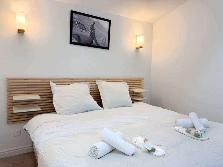CANNES PROPERTIES RENTALS