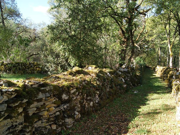 Petit chemin et ses murs en pierres