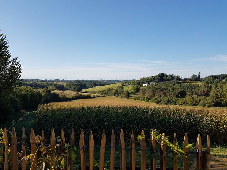 Les chemins de Berdis  Maison d'hôte  Chalosse  Landes  Vue 6