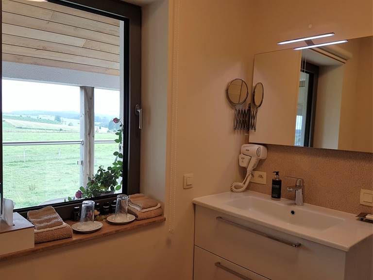 Salle d'eau privative de la chambre Zénith