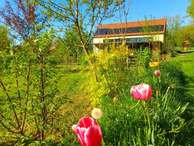 Les subtiles odeurs des fleurs et herbes folles viennent enchanter nos narines