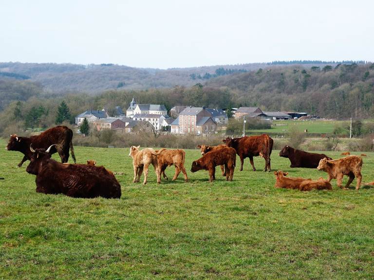 Le hameau de Xhignesse logé dans la verdure