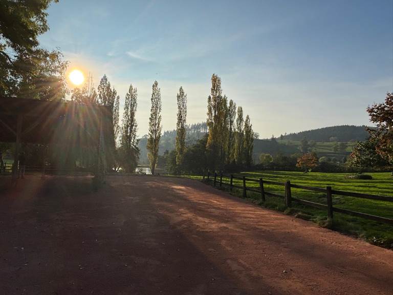 Terrain de boules et abri
