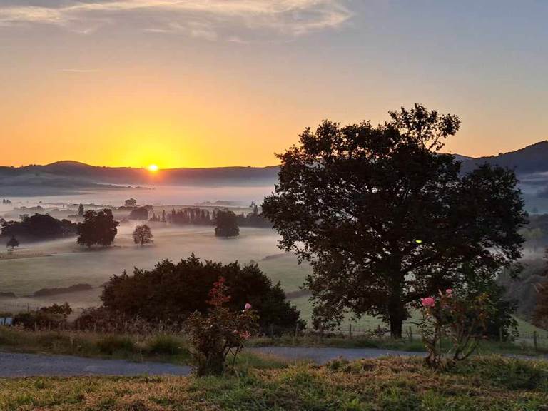 VUE MATIN OCTOBRE 2023 COMPOSTELLE OSTABAT IZARRAK-gallery