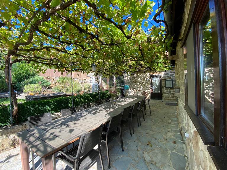 Terrasse sous les vignes