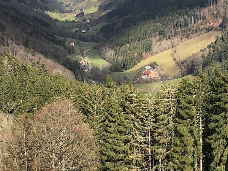 Col Bagenelles