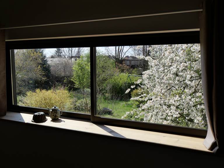 Fenêtres panoramiques, vue sur le jardin