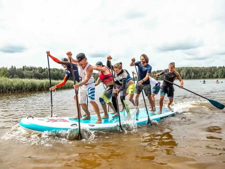 Paddle-geant