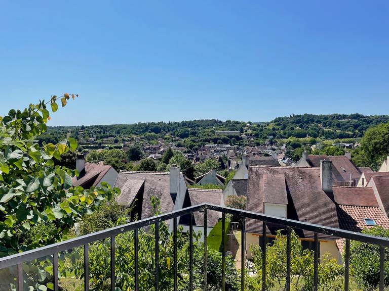 location-vue-cite-medievale-sarlat