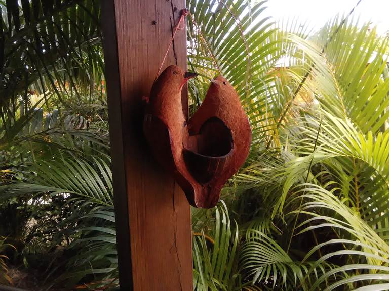 Les Jardins des Balisiers Gîte Balisiers Mangeoire pour les sucriers