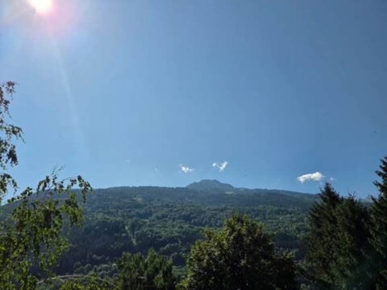 vue-deux -têtes
