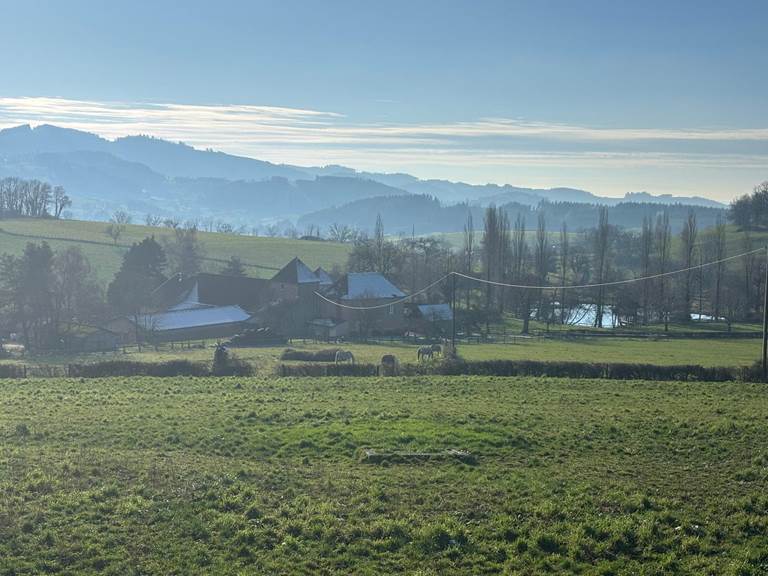 Clos Lavaux vue du chemin du haut