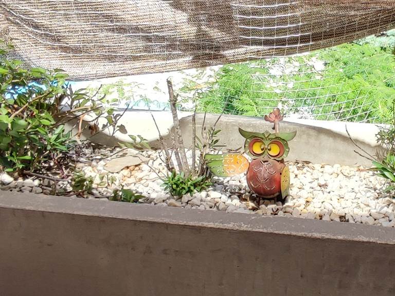 une chouette-terrasse 2