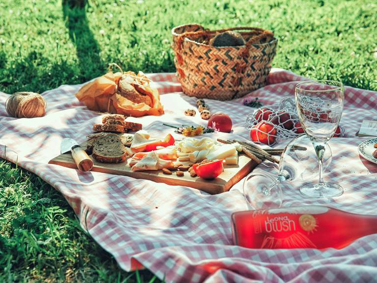 picnic