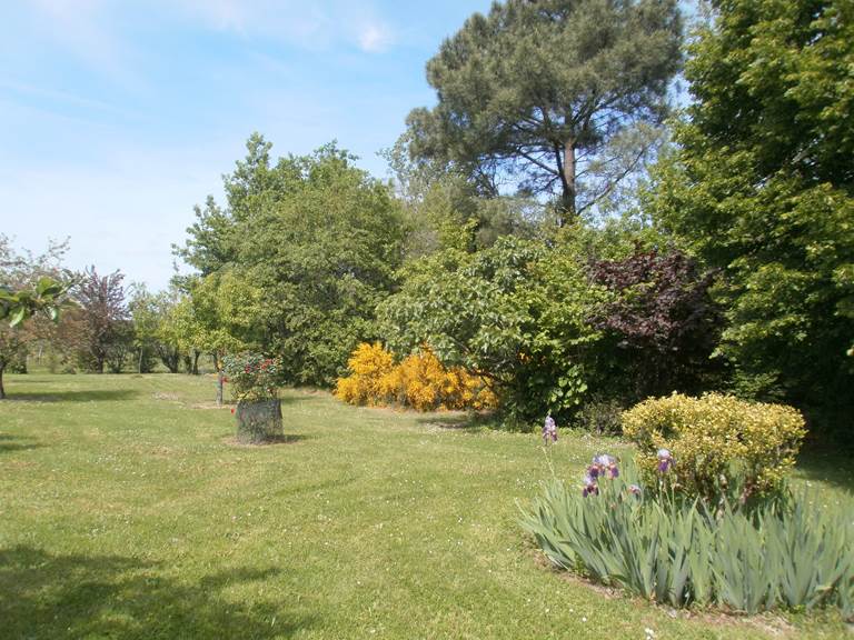 Gîtes de Beaujardin - Gîte Les Glycines Jardin