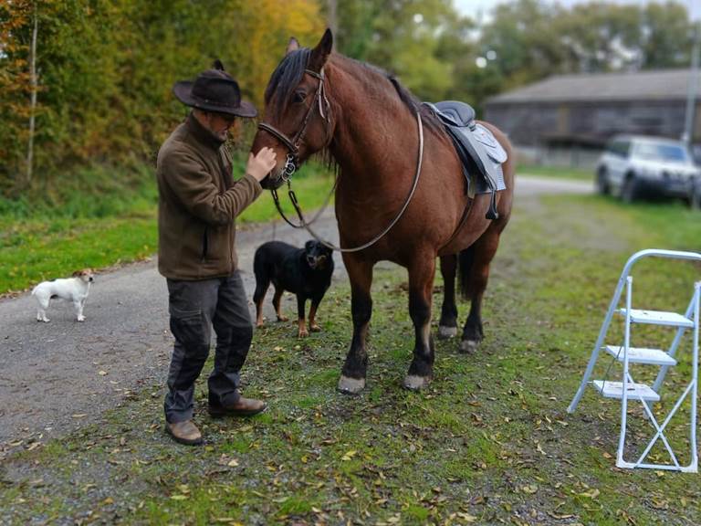 9ec44be0-abc2-4a00-a63d-26b1cbaddcd0