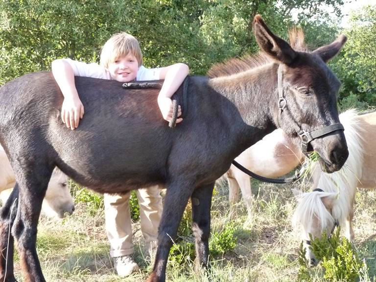 Benny und Marlon 035