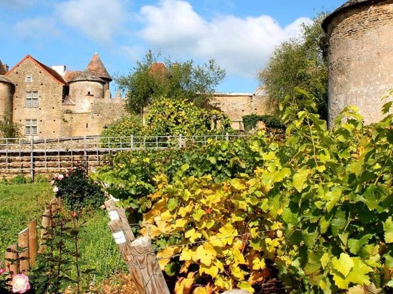 Château Pontus de Tyard proche de Bed and Bourgogne - Chambres d'hôtes à Messey-sur-Grosne