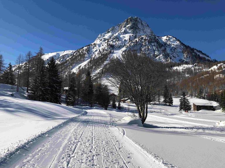 A deux pas de la résidence balade et ski de fond vue sur le Mont Buet