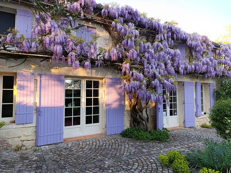 Façade de la maison avec la glycine