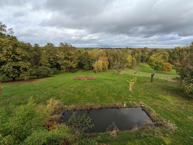 jardin derrière la maison