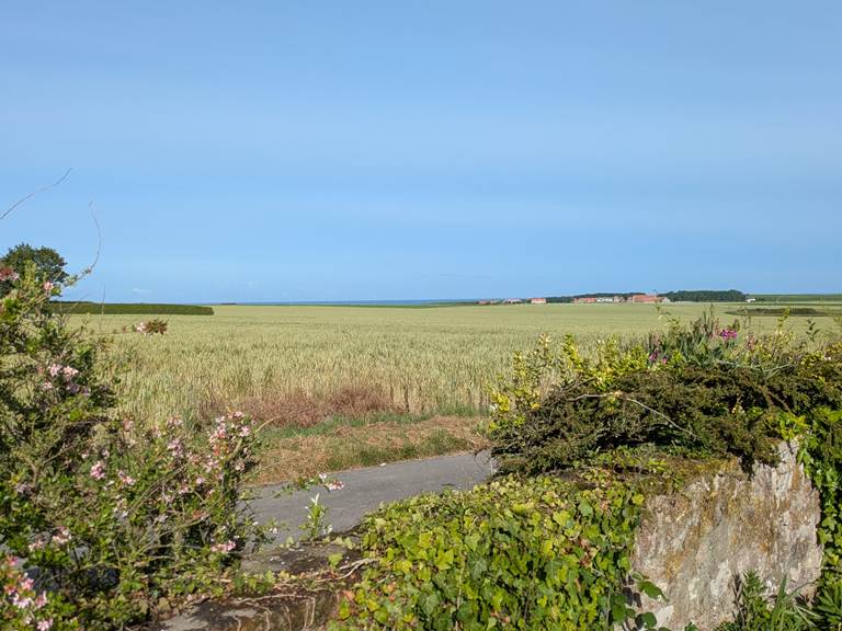 vue côté jardin