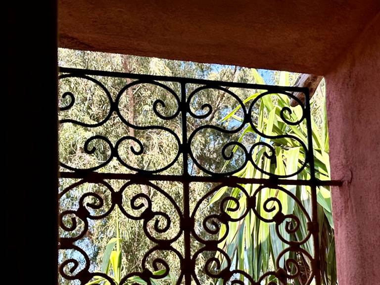 Depuis la fenêtre du salon, admirez les yucca et la forêt d'eucalyptus!