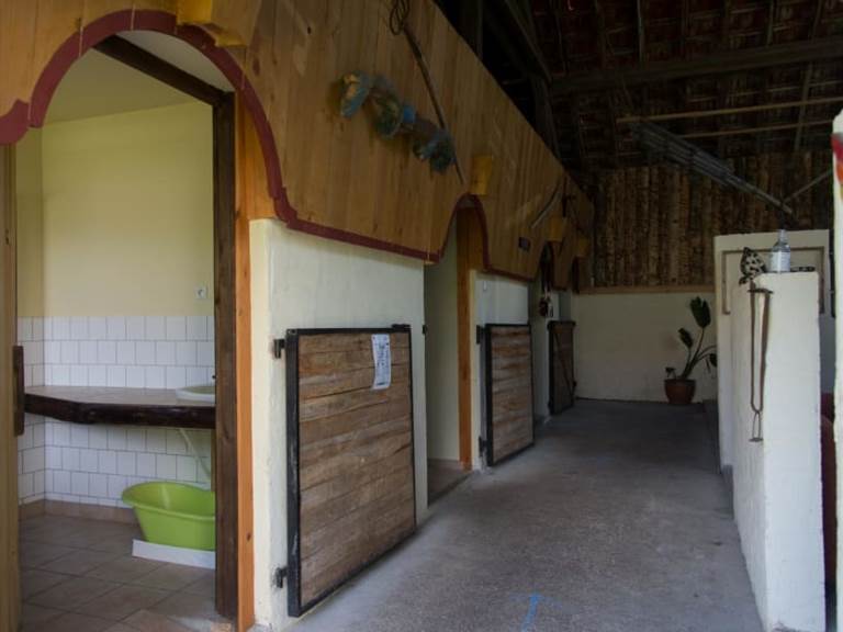 dwkscuifcetab7chnnkn (1)