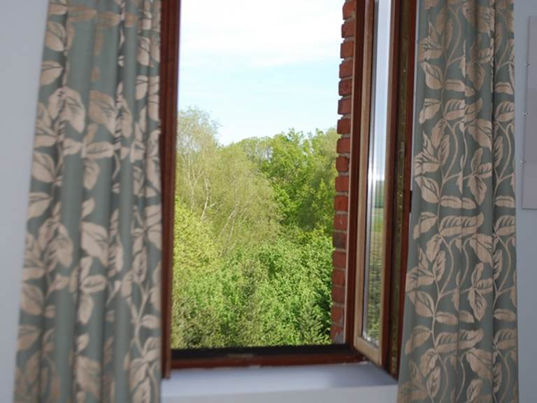 vue sur la nature Chambre Cabanon au Ranch des Lacs