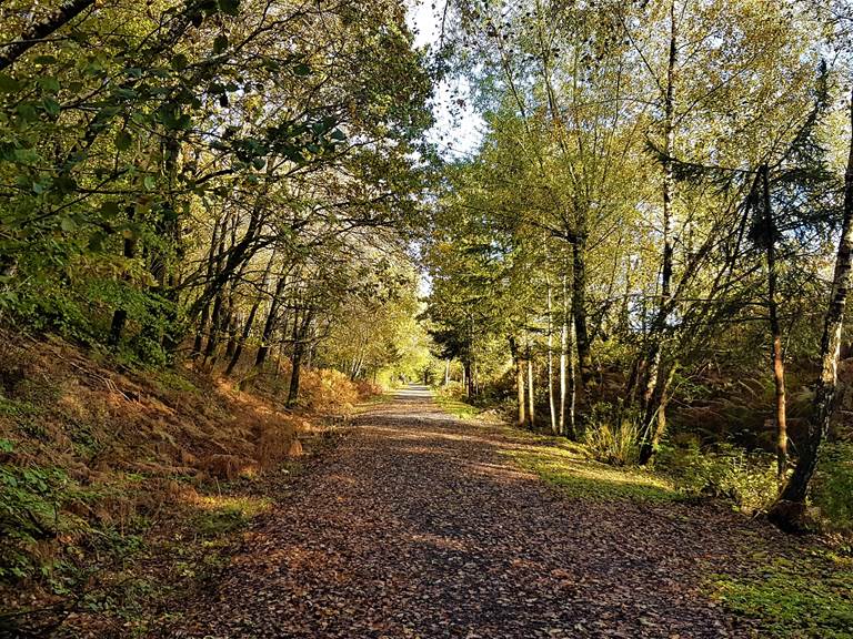 Balade sur le ravel à Morhet