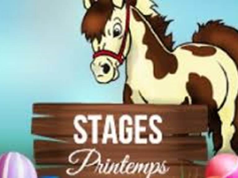 stages 1/2 journée