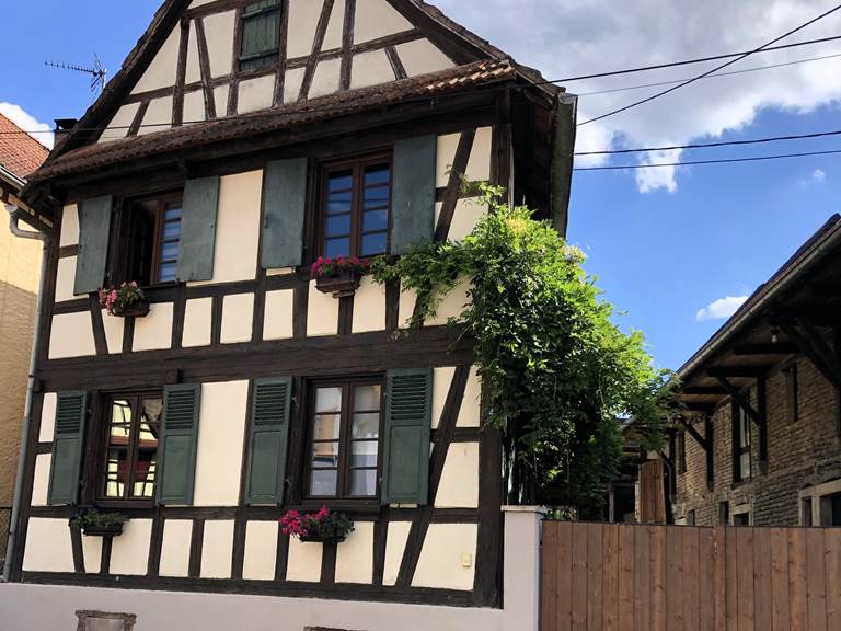 Maison