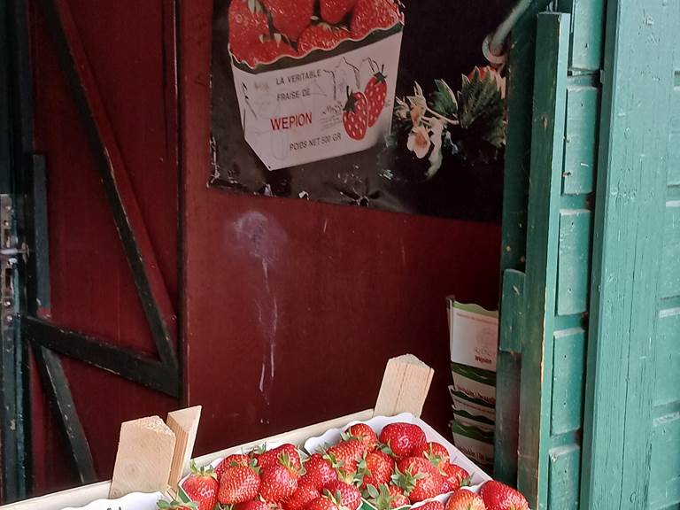 Wépion, pays de la fraise...