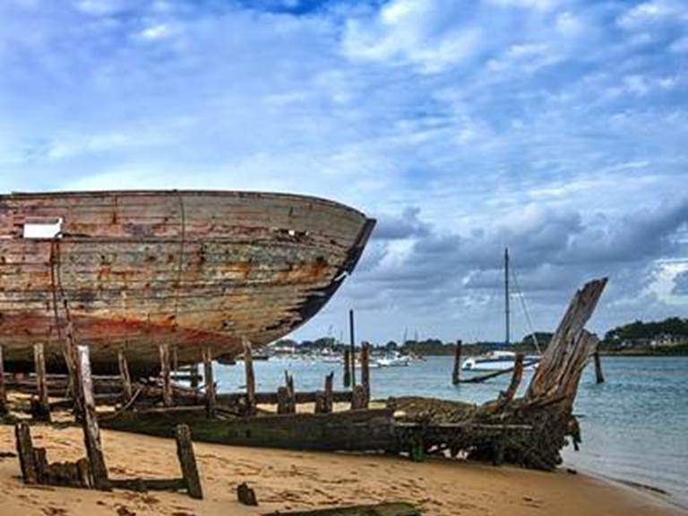 themagouer4842061640